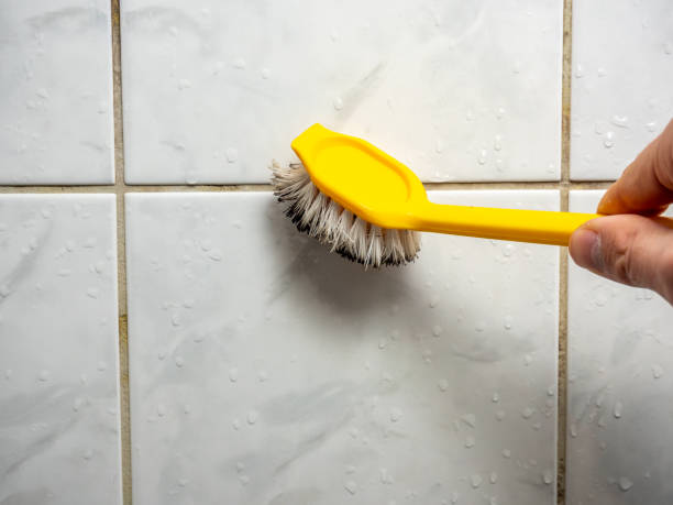 Best Industrial Mold Remediation in West Milton, OH